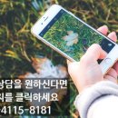 복주초등학교 이미지