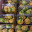 샤인하우스 이미지