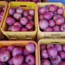 욱이네 농장 이미지