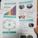 월스트리트인스티튜트 | 영어회화학원/월스트리트인스티튜트 1년 수강 후기(강남점/종로점)
