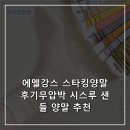 에멜강스 스타킹양말 후기무압박 시스루 샌들 양말 추천