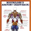 크로스핏 산본 이미지