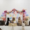 바우라움 메인캠퍼스 이미지