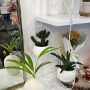 미래블라썸 이미지