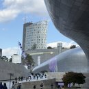 지지나스칼 | 지방러 시골쥐의 2025 컬리뷰티페스타 간단 후기