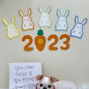 비비앤독 네이버블로그
