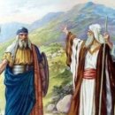 2025년 8월 13일 연중 제19주간 수요일 제1독서 (신명34,1-12) 이미지