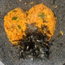 평범한날 행복한맛 | 왕십리 제일곱창 오픈런 후기, 모둠구이 계속 먹고 싶은 맛!!