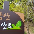 매암산 등산로 네이버블로그