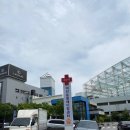 온마음 동물메디컬센터 이미지