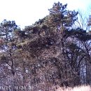 용산-154 이미지