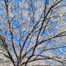 달창농장 이미지