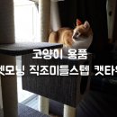 펫츠로그 양산점 이미지
