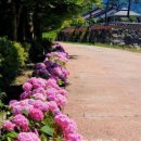 위천 로타리 이미지