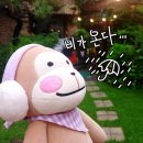 지니스테이 - 관악구 인헌19길 3 | 지니스테이