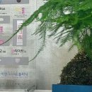 알파성형외과의원 이미지