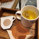 봄날오다 이미지