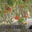 장수파머