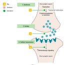 팜스약국 이미지