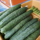 영명상회 이미지