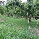 영이네농장 이미지