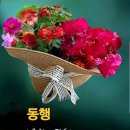 사랑합니다-희망 이미지