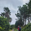 신산환해장성 이미지