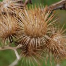 김유성이비인후과의원 이미지