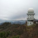 금산화원