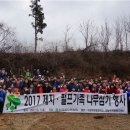 가족나무 이미지