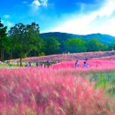 가산수피아 이미지