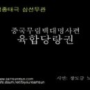 중국무림백대명사편 - 장도금 노사(육합당랑권) 이미지