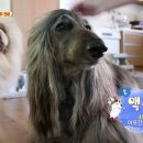 환웅농장 네이버블로그
