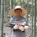 박영수 헤럴드경제