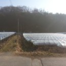 홍정농장 이미지