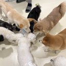 견생낙원 이미지