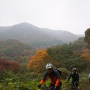 청량산 임도1 Daum카페