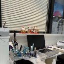 포레온 동물병원 | 둔촌동역 네일 / 둔촌동 네일 — 포레온네일 방문 솔직 후기