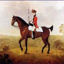 롱아일랜드 이미지