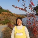남정체험교육농장 이미지