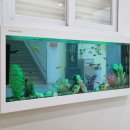 바로미어린이집