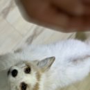 마리앤쥬 이미지