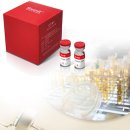 메타사이언스 이미지