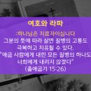 라파&닛시
