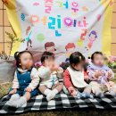 시립푸른숲 어린이집 네이버블로그