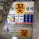 [선자네 꽃집] 강북 창동역 꽃 도매 시장