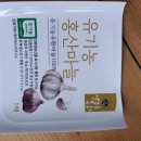설초록홍화