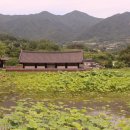 남원 실상사 건칠아미타불좌상과 건칠보살입상 | 남원 여행, 실상사, 지리산이 연꽃처럼 감싸안은 절, 남원시 산내면에 자리잡은 고찰