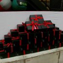 crossFit PLAN B | '스쿼트 '그룹수업 진행하고 왔어요! feat.건강한형제들