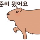 김명후다이어트복싱클럽 이미지